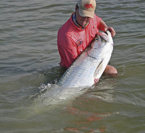 Fliegenfischen auf Tarpon